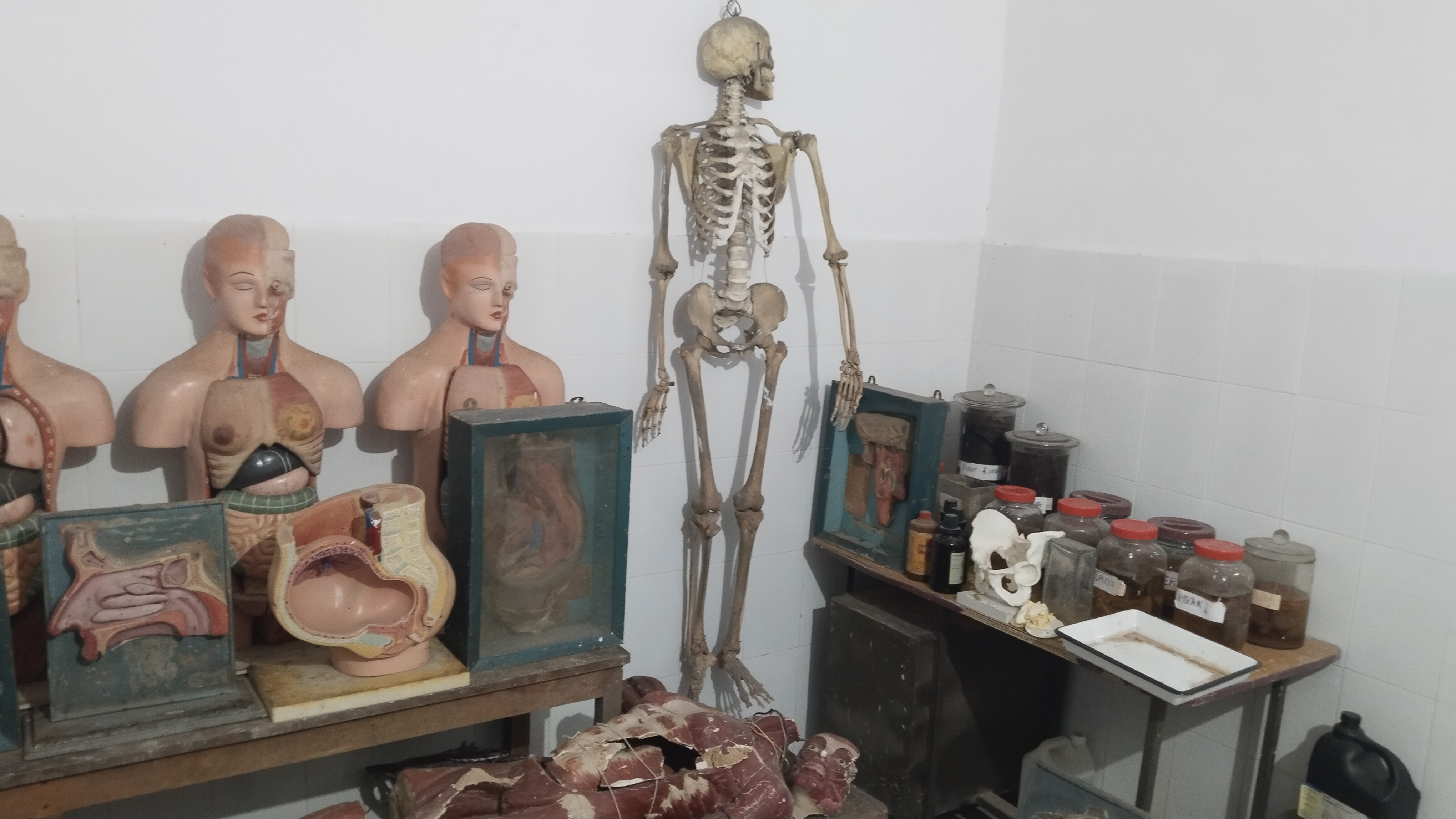 surgery
